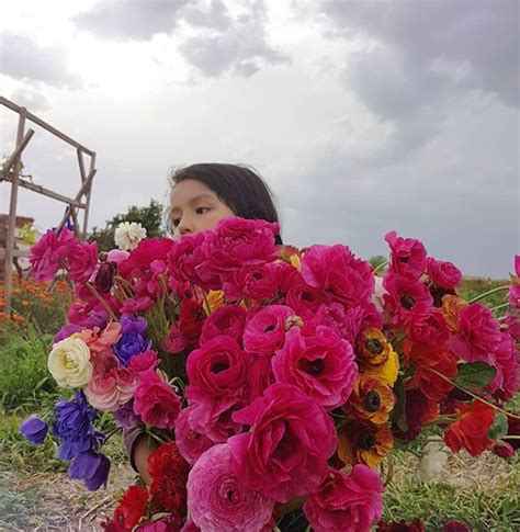 alejandra romero florista